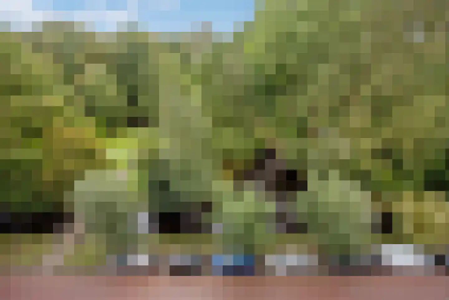 Via Verdi 121 Voorburg thumbnail 22