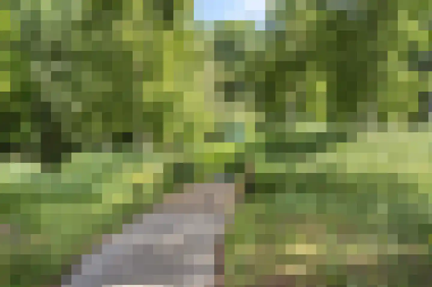 Via Verdi 15 Voorburg thumbnail 35