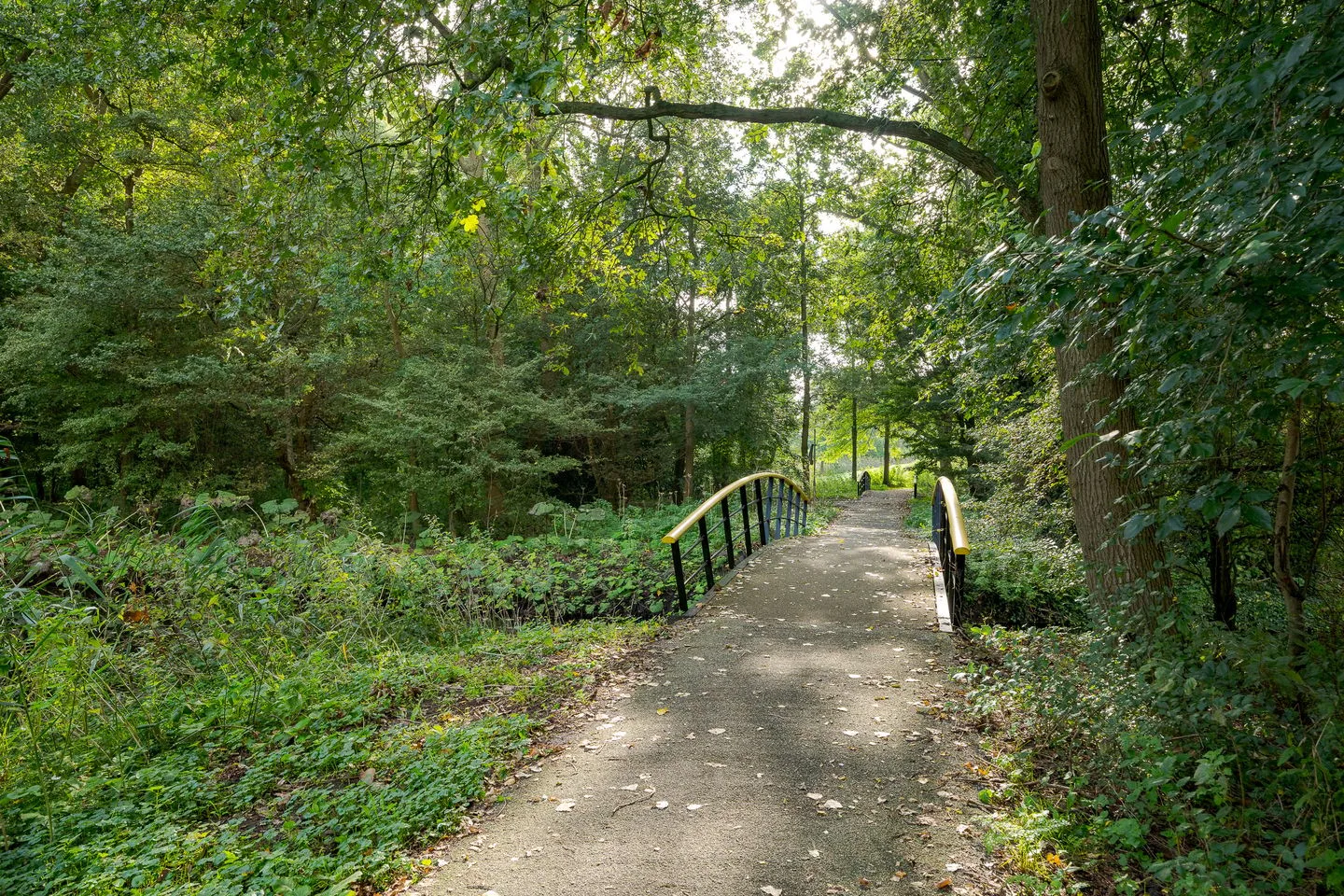 Via Verdi 255 Voorburg thumbnail 49