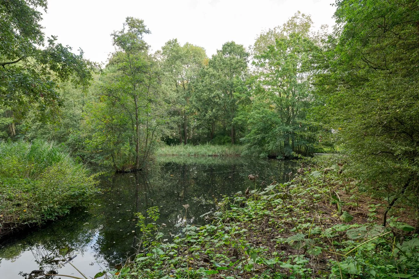 Via Verdi 255 Voorburg thumbnail 50
