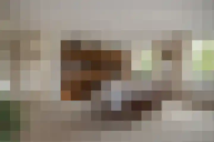 Via Verdi 7 Voorburg thumbnail 10