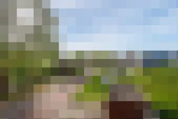 Via Verdi 7 Voorburg thumbnail 16