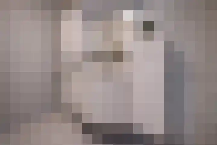 Via Verdi 7 Voorburg thumbnail 23