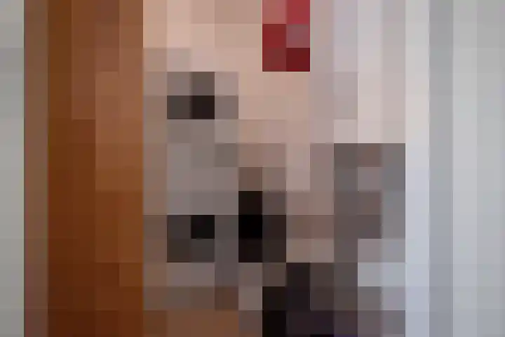 Via Verdi 7 Voorburg thumbnail 24
