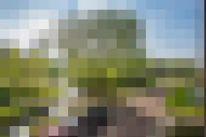 Via Verdi 7 Voorburg thumbnail 27