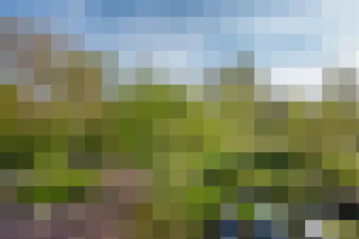 Via Verdi 7 Voorburg thumbnail 28