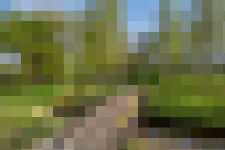 Via Verdi 7 Voorburg thumbnail 29
