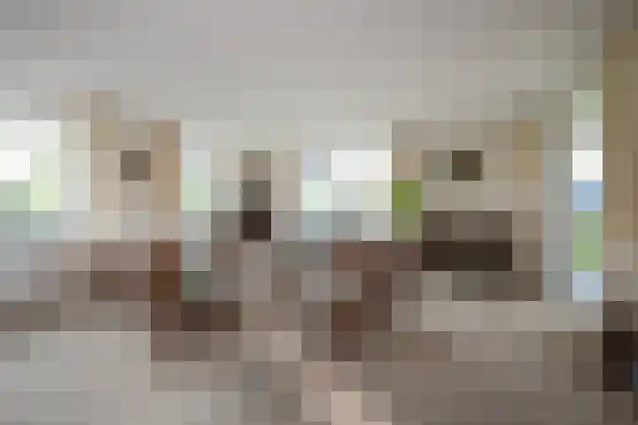 Via Verdi 7 Voorburg thumbnail 6