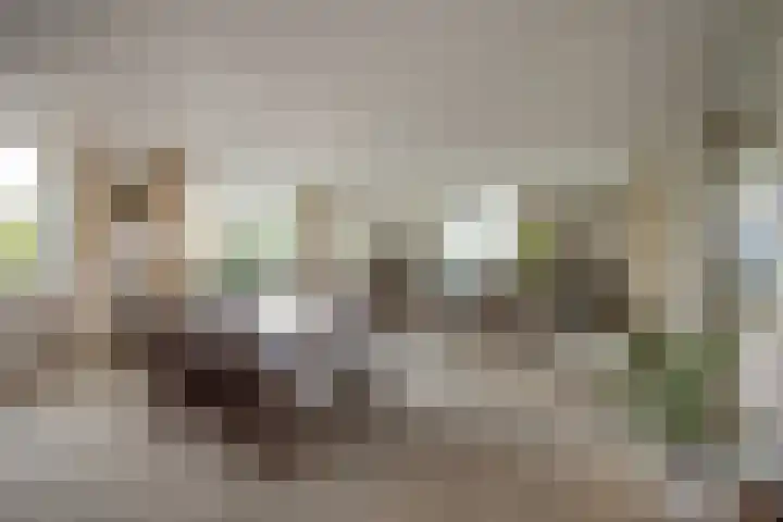 Via Verdi 7 Voorburg thumbnail 7