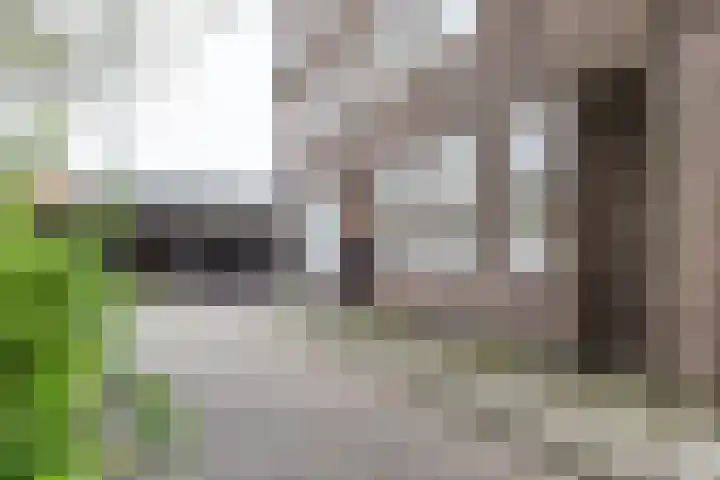 Viaductstraat 1 Groningen thumbnail 7