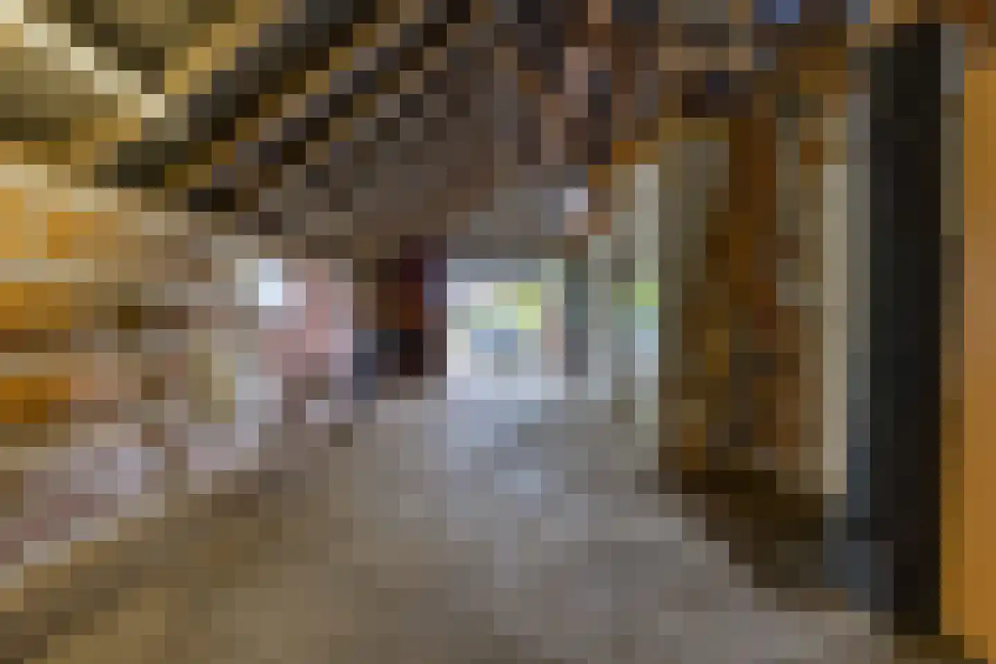 Viaductstraat 118 Ter Apel thumbnail 35