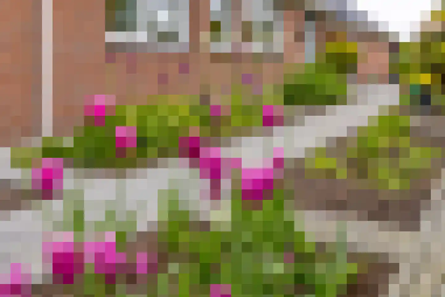 Viaductstraat 118 Ter Apel thumbnail 9