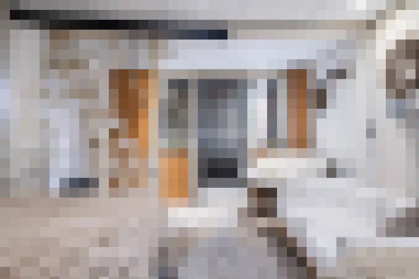 Viaductstraat 15 Emmen thumbnail 36