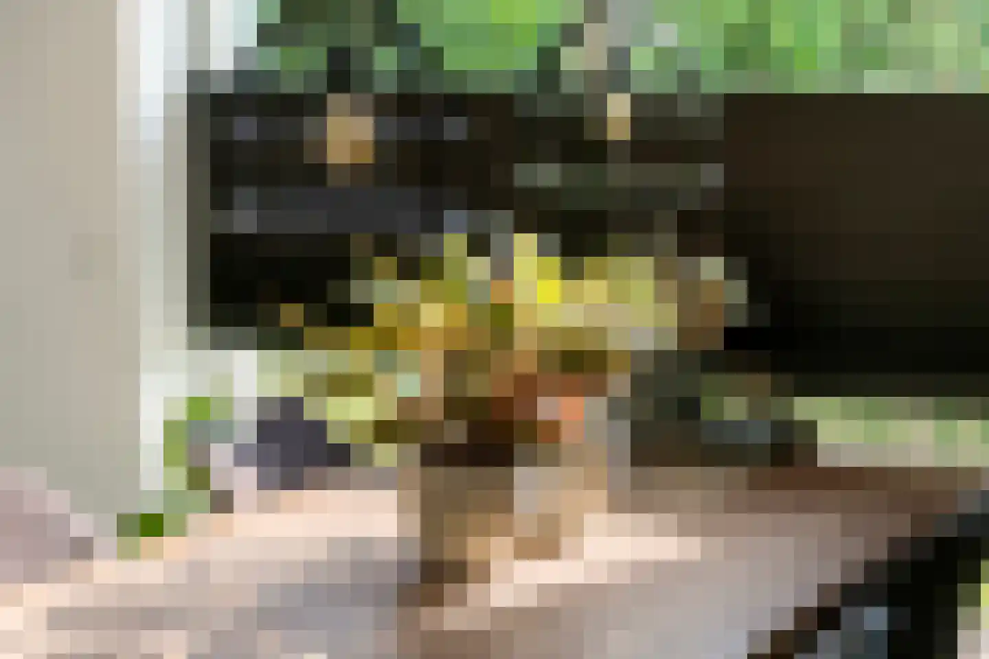 Viaductstraat 2 Wamel thumbnail 14