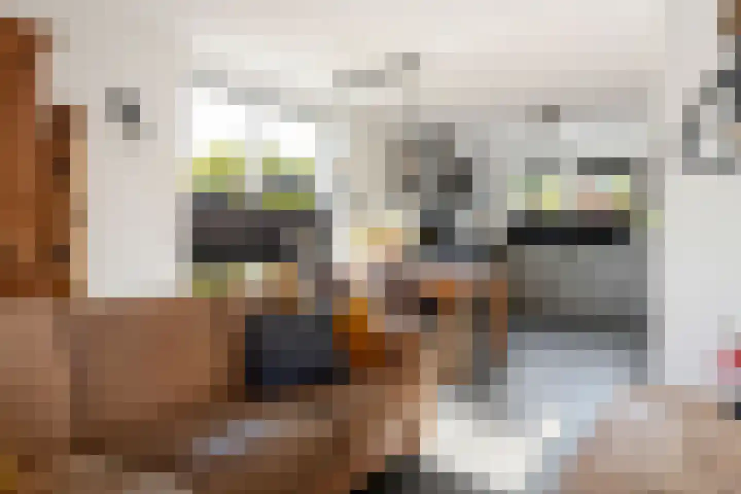 Viaductstraat 2 Wamel thumbnail 17