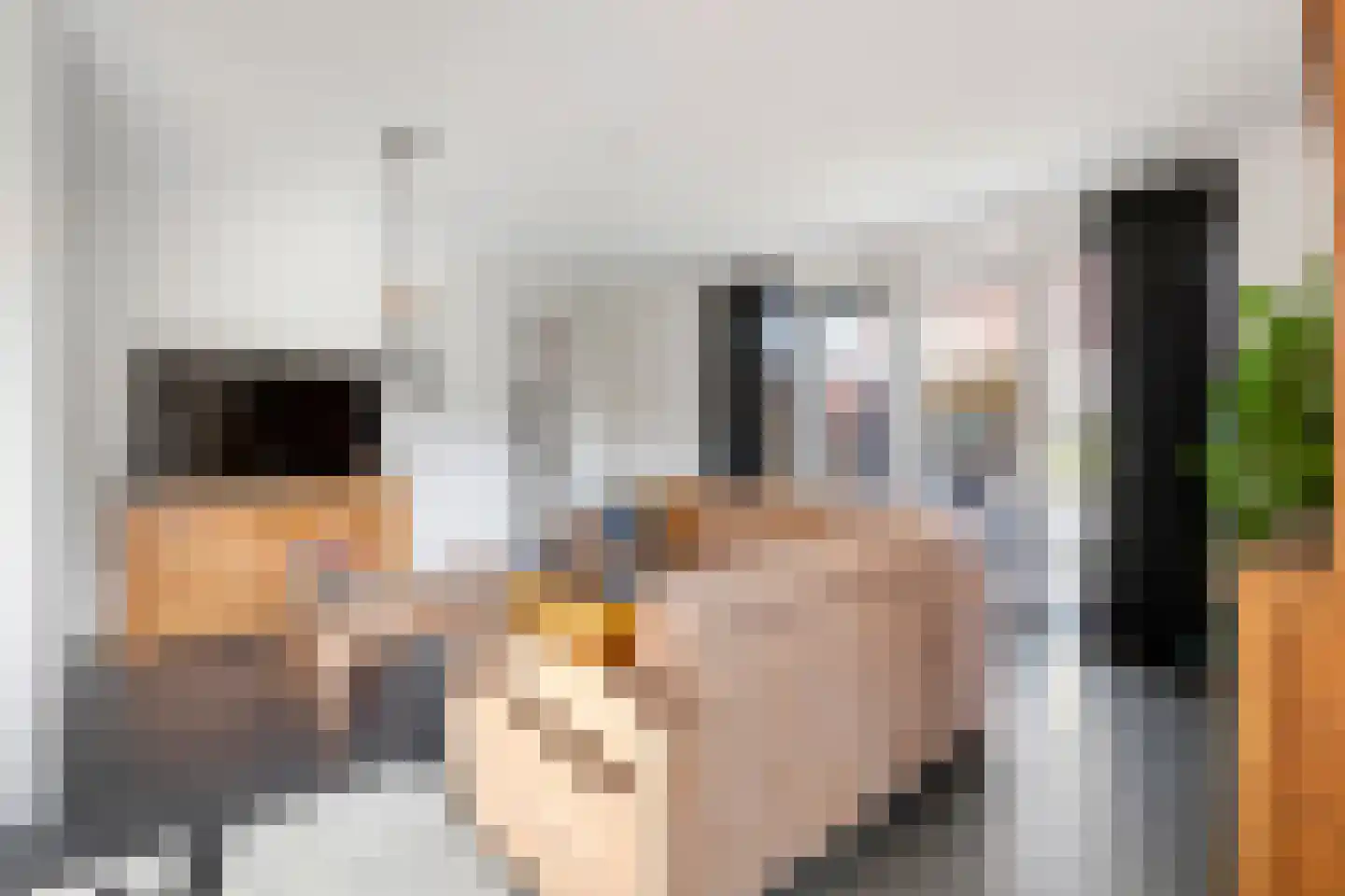 Viaductstraat 2 Wamel thumbnail 22