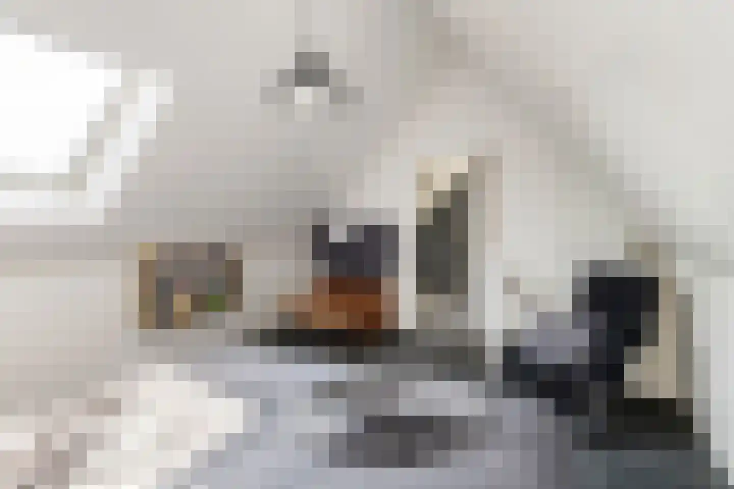 Viaductstraat 2 Wamel thumbnail 38