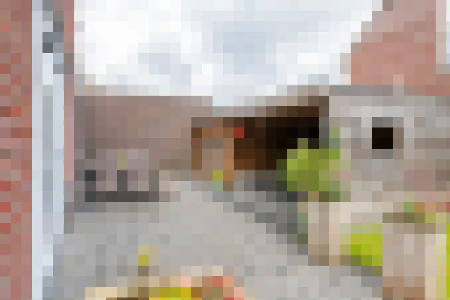 Viaductstraat 2 Wamel thumbnail 43