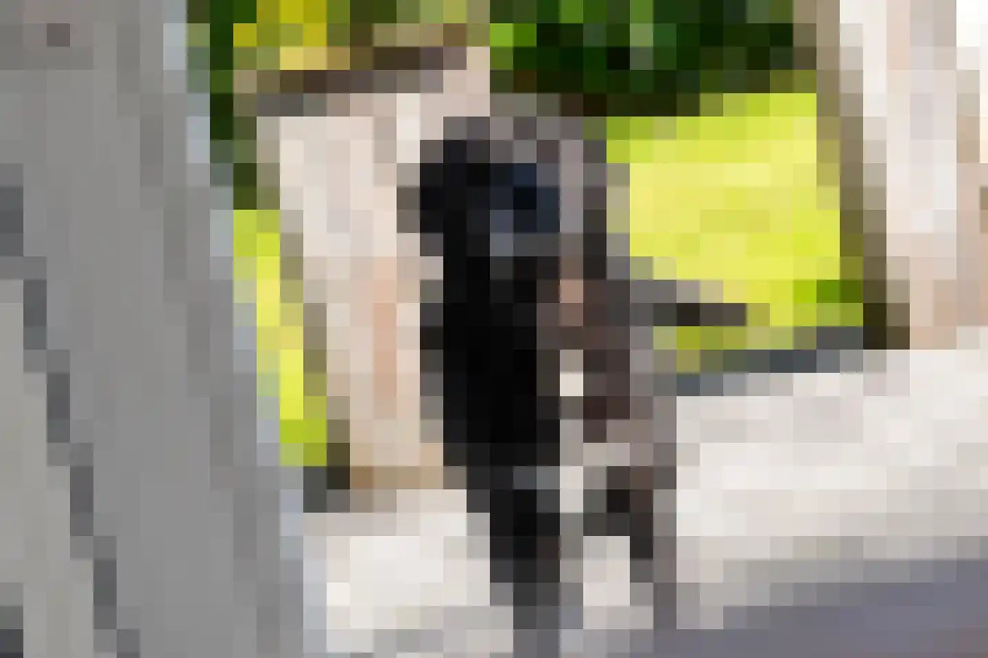 Viaductstraat 2 Wamel thumbnail 44