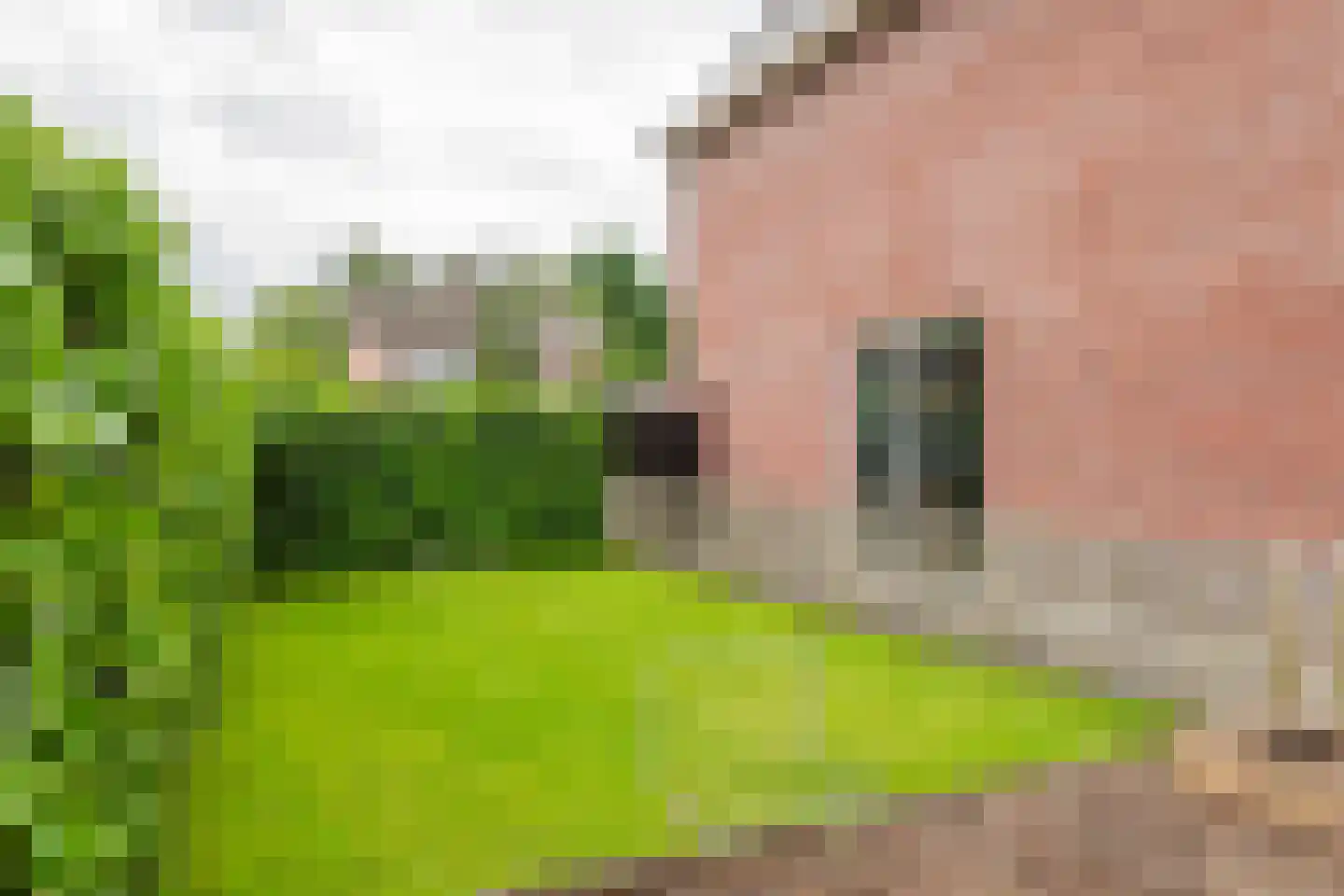 Viaductstraat 2 Wamel thumbnail 46