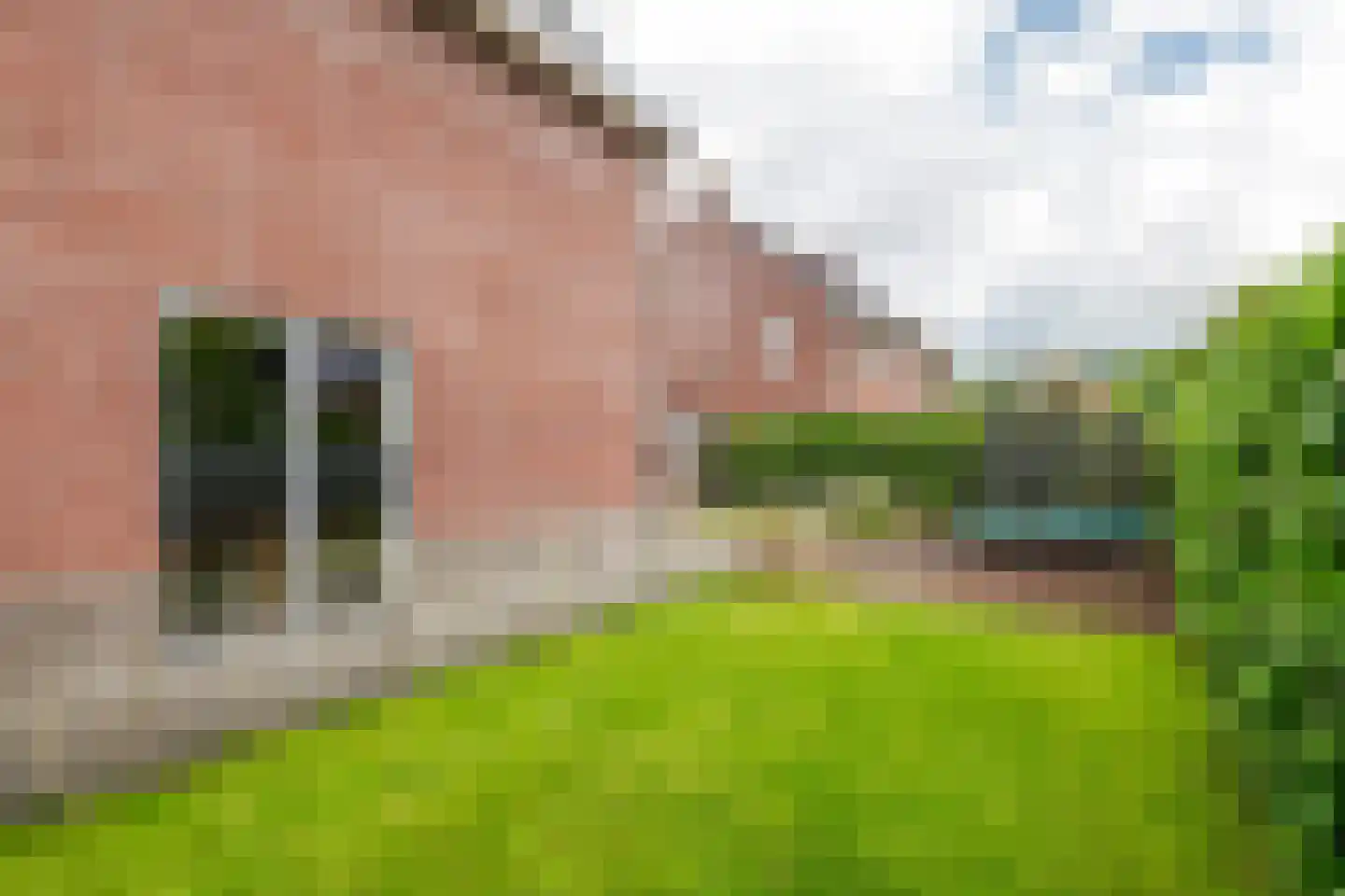 Viaductstraat 2 Wamel thumbnail 47