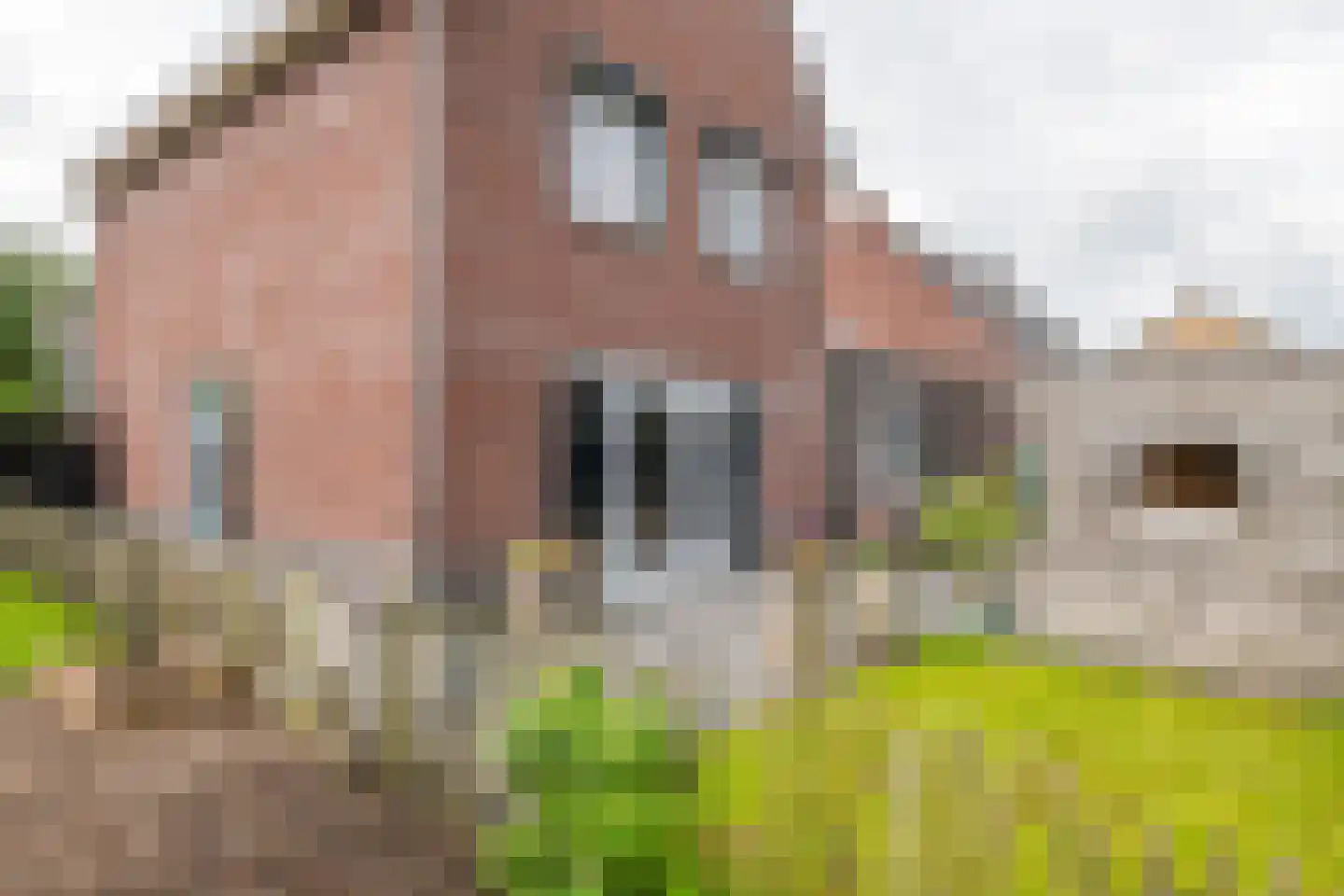 Viaductstraat 2 Wamel thumbnail 48