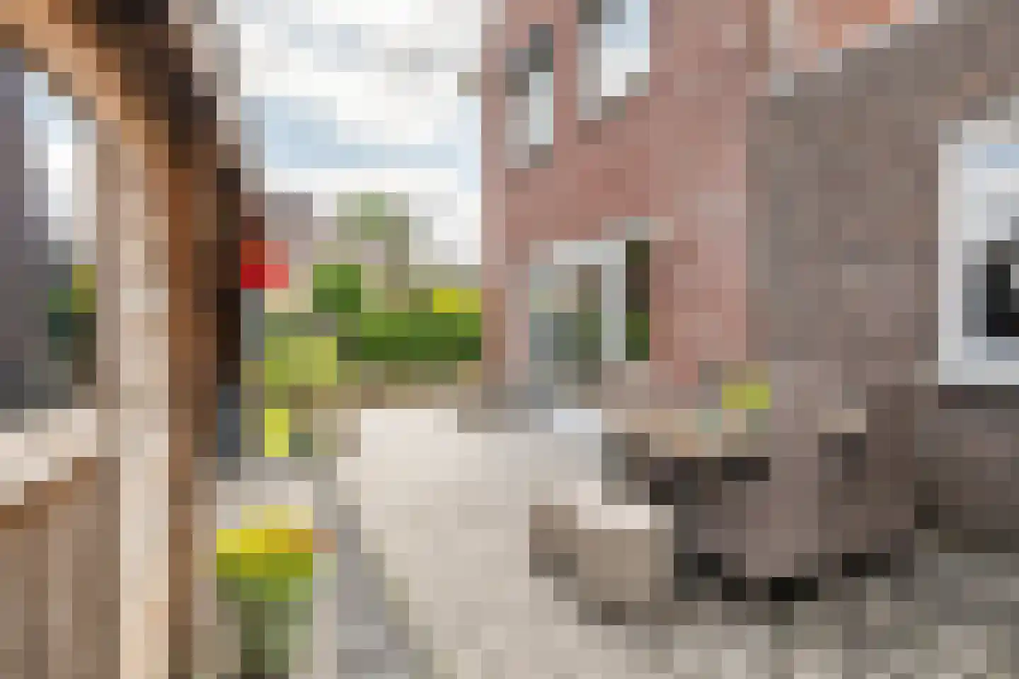 Viaductstraat 2 Wamel thumbnail 5