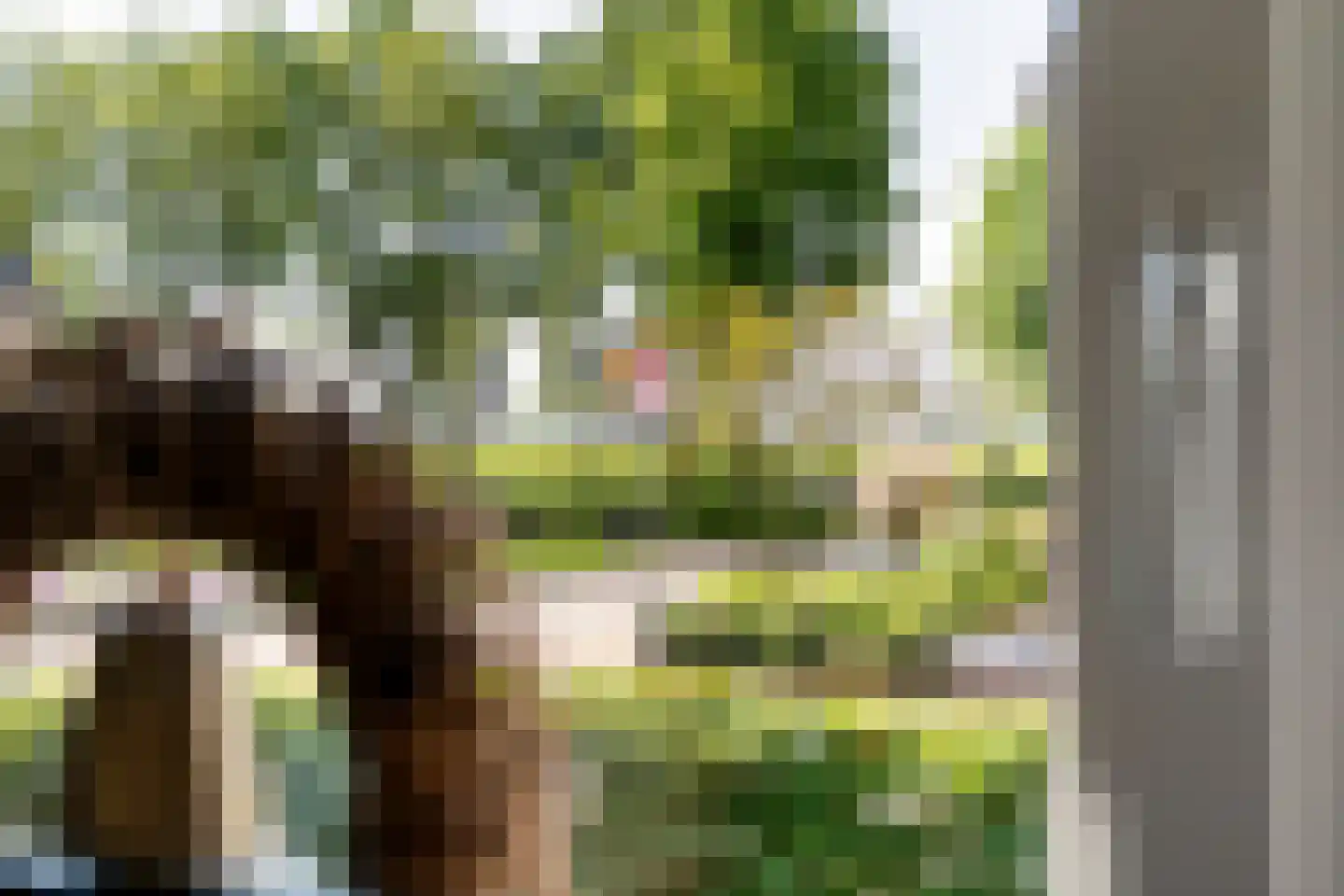 Viaductstraat 2 Wamel thumbnail 8