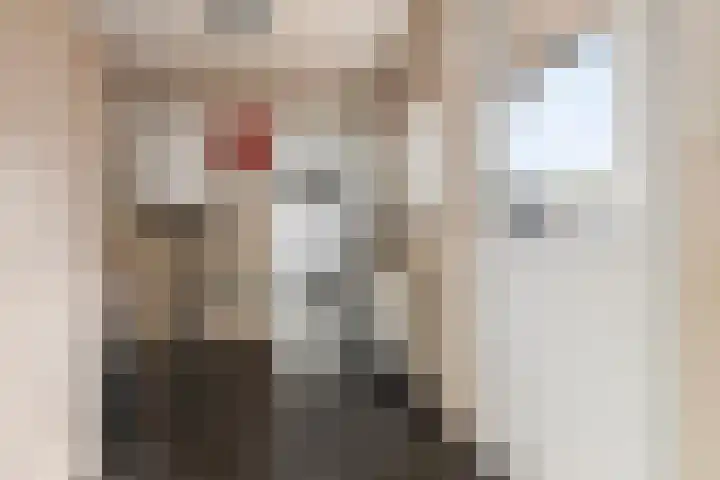 Viaductstraat 21 Ter Apel thumbnail 15