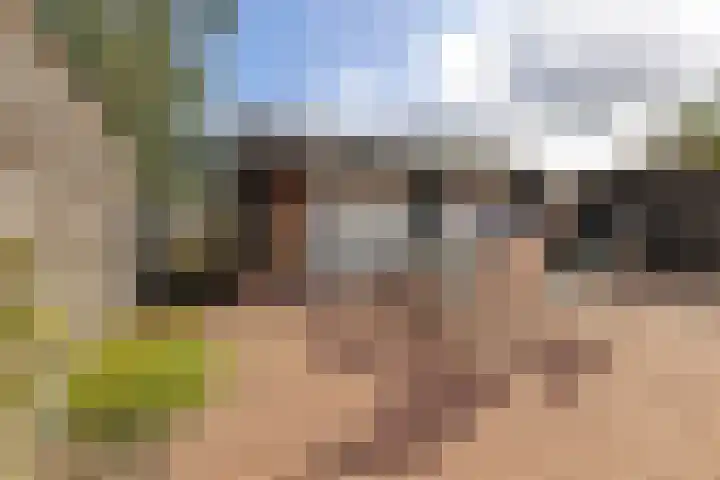 Viaductstraat 21 Ter Apel thumbnail 31