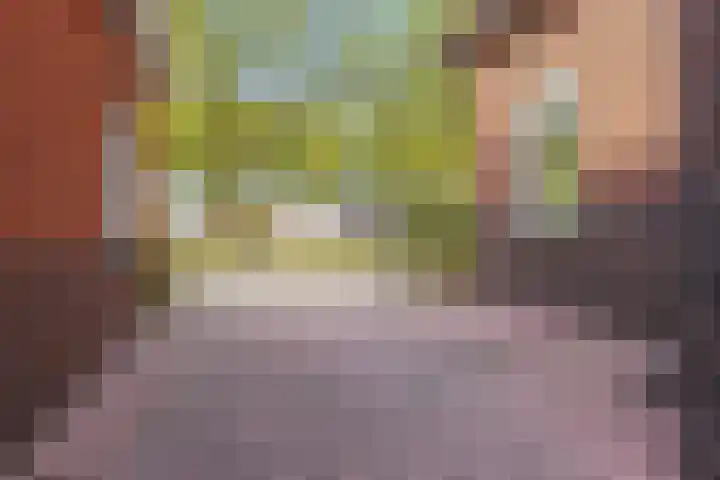 Viaductstraat 21 Ter Apel thumbnail 33