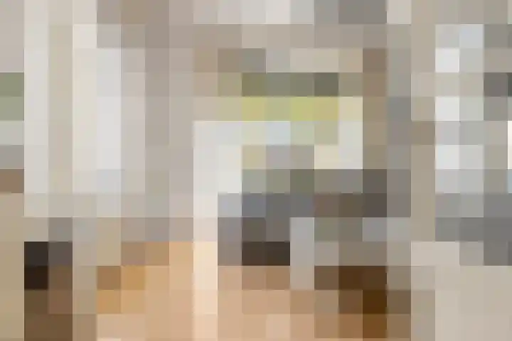 Viaductstraat 21 Ter Apel thumbnail 5