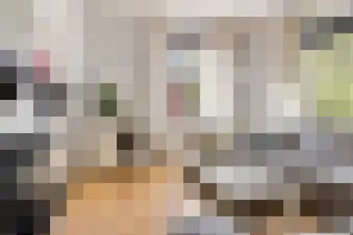 Viaductstraat 21 Ter Apel thumbnail 8