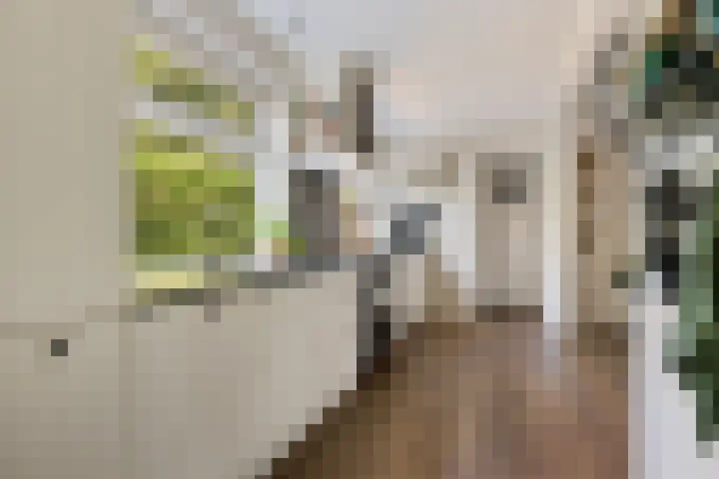 Viaductstraat 23 Ter Apel thumbnail 10