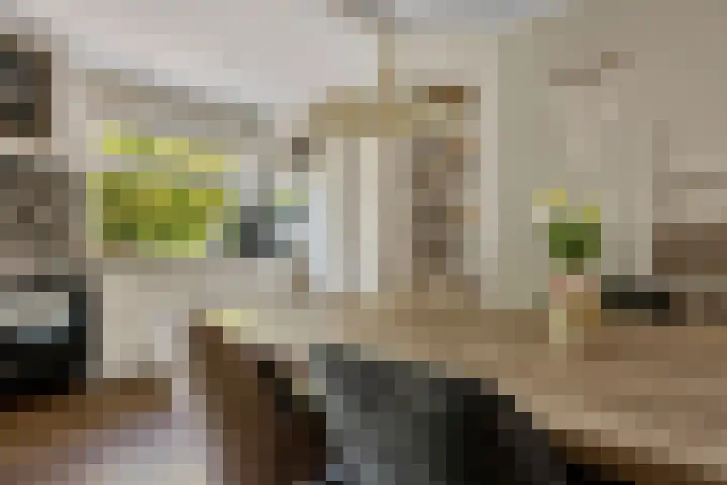 Viaductstraat 23 Ter Apel thumbnail 11