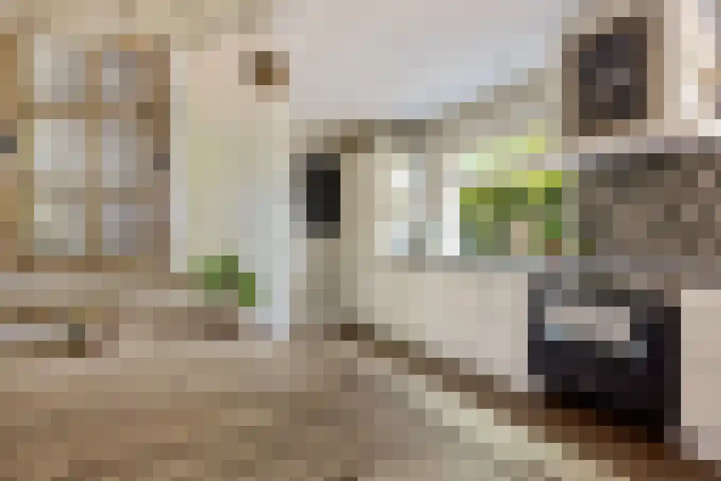 Viaductstraat 23 Ter Apel thumbnail 12