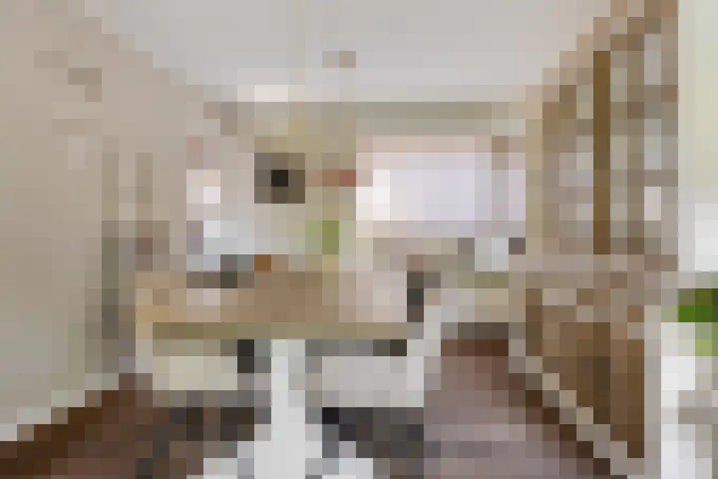 Viaductstraat 23 Ter Apel thumbnail 13