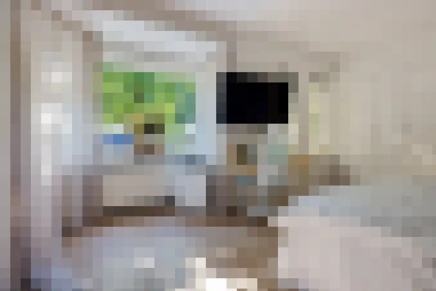Viaductstraat 23 Ter Apel thumbnail 22