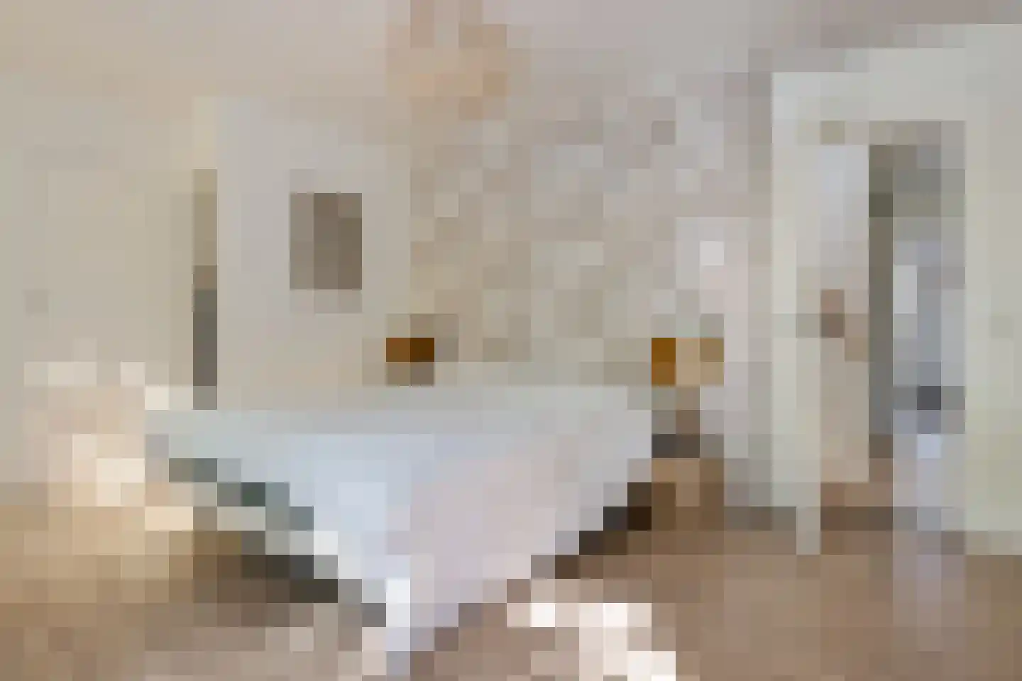 Viaductstraat 23 Ter Apel thumbnail 23