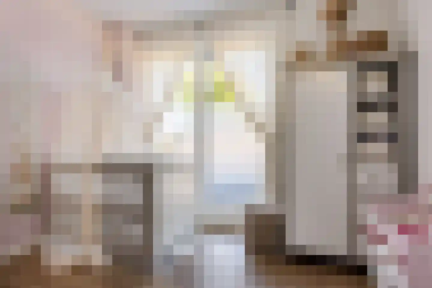 Viaductstraat 23 Ter Apel thumbnail 25