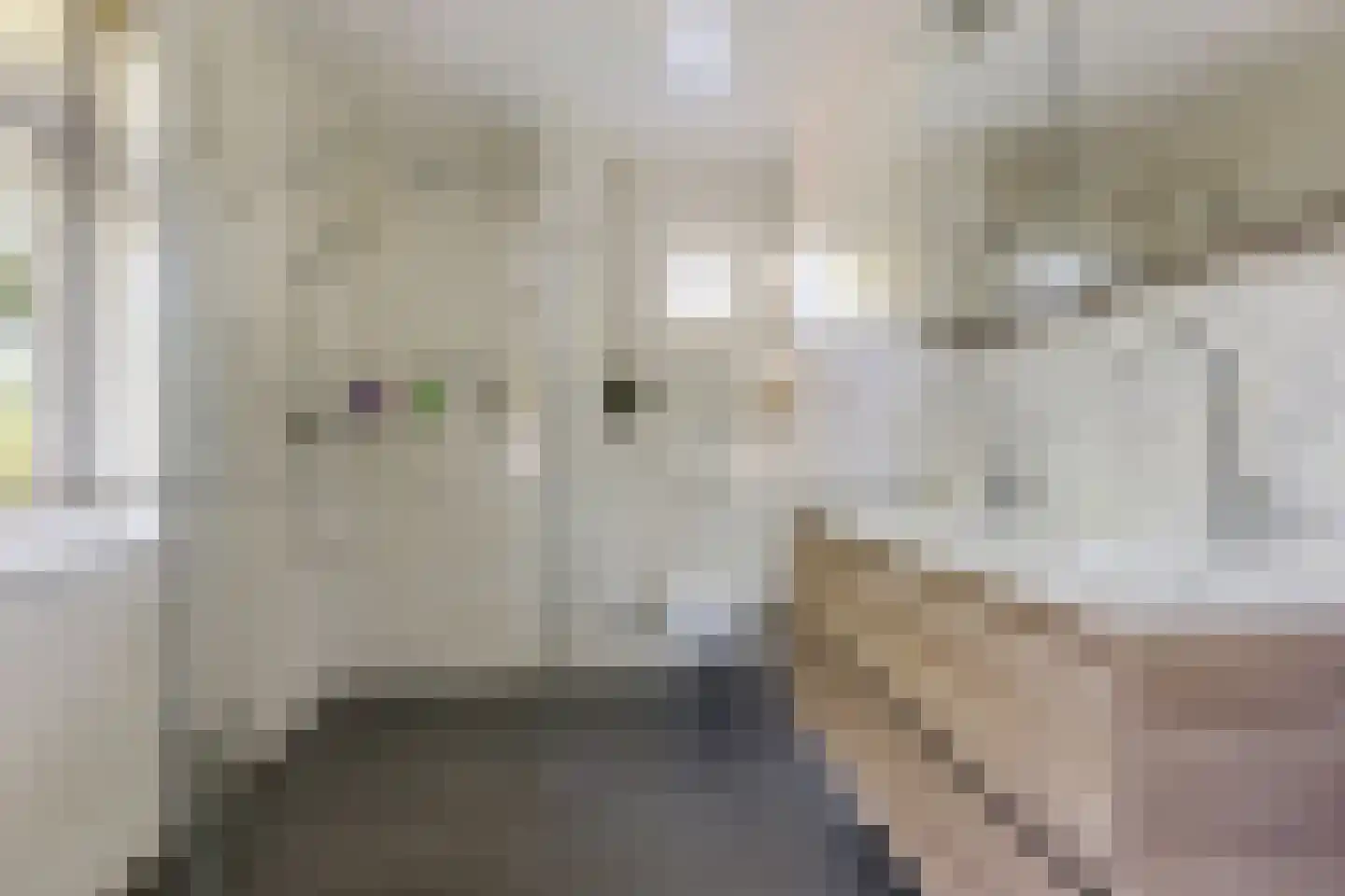 Viaductstraat 23 Ter Apel thumbnail 27