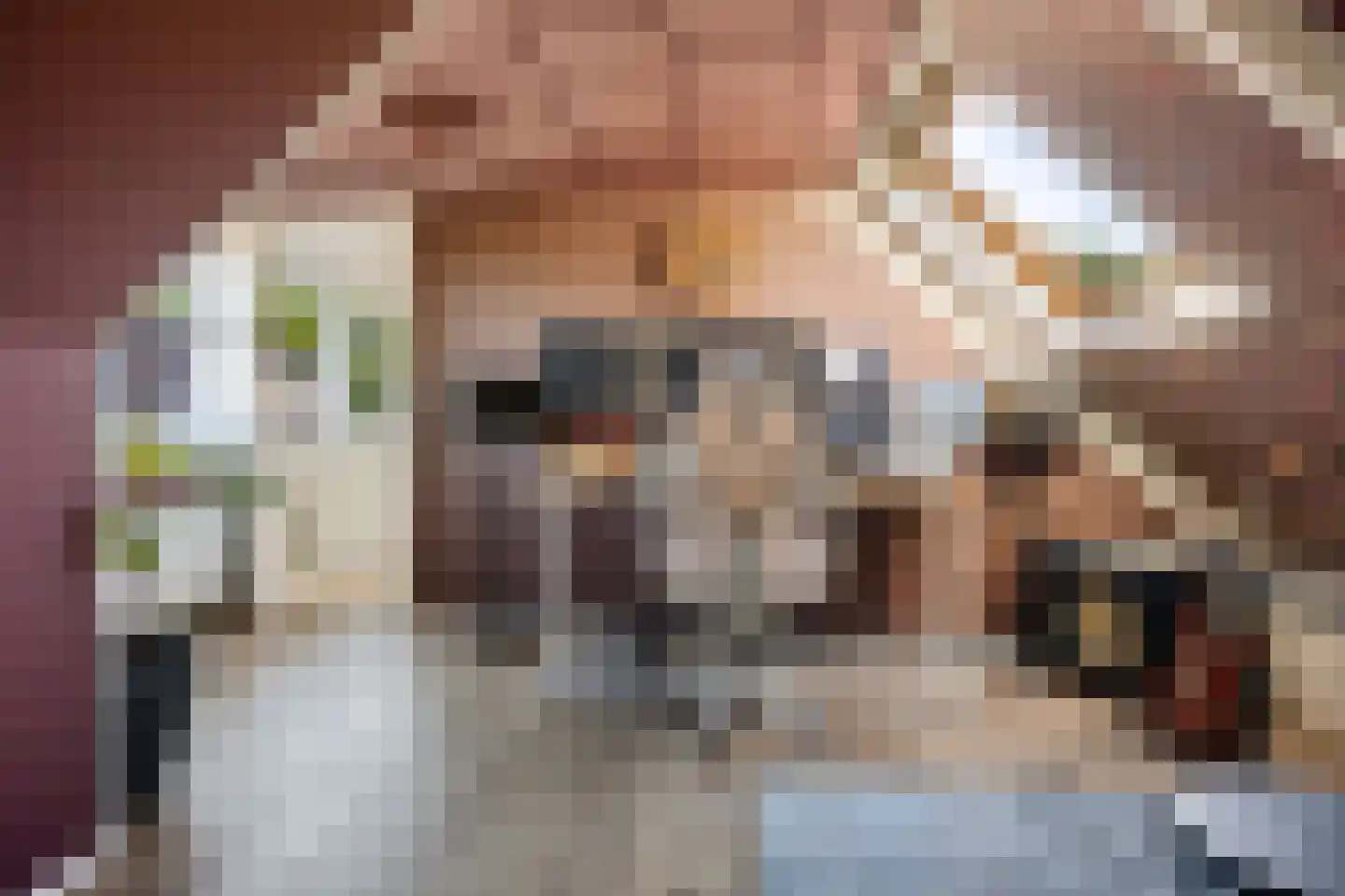 Viaductstraat 23 Ter Apel thumbnail 31