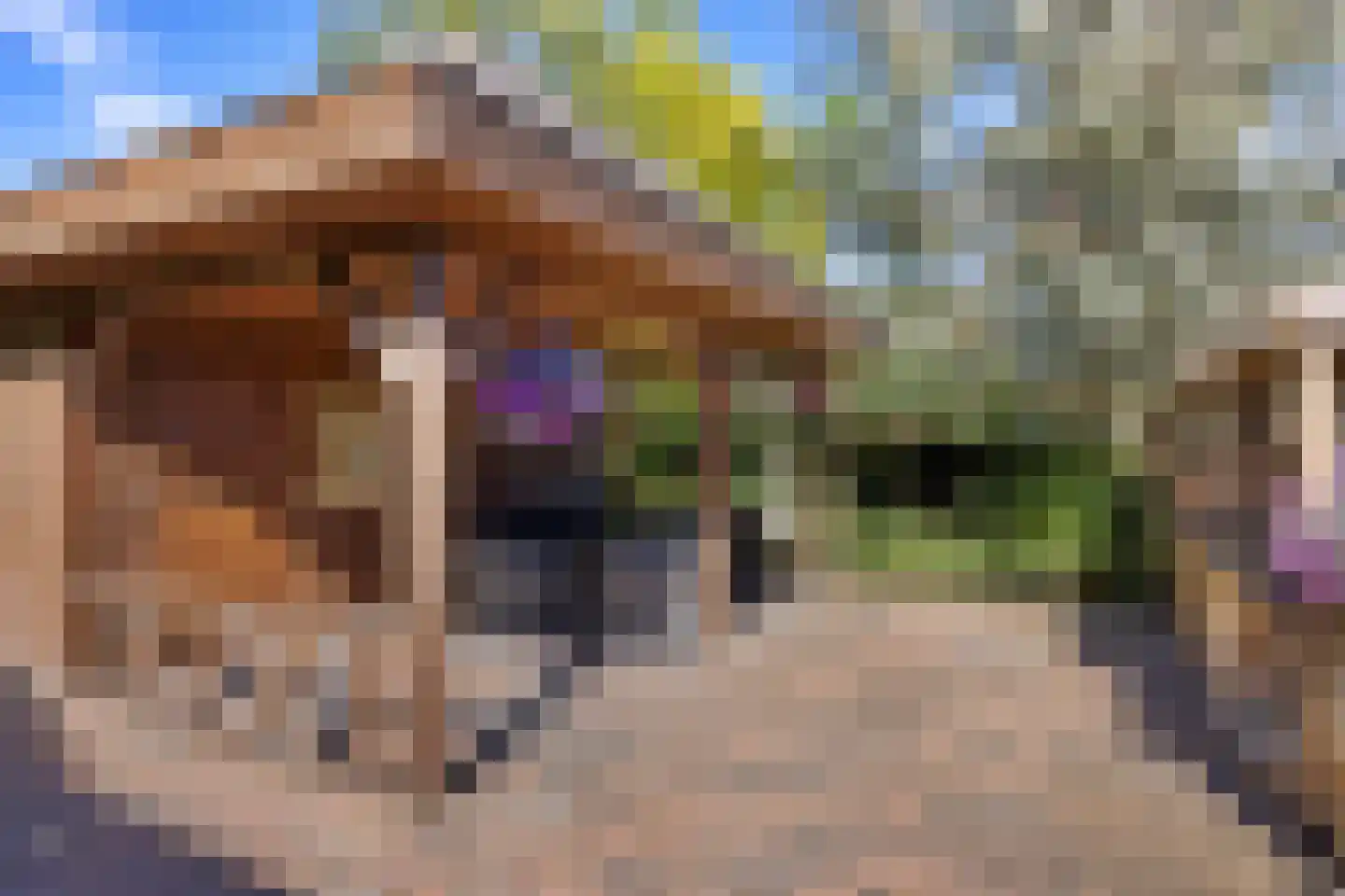 Viaductstraat 23 Ter Apel thumbnail 39