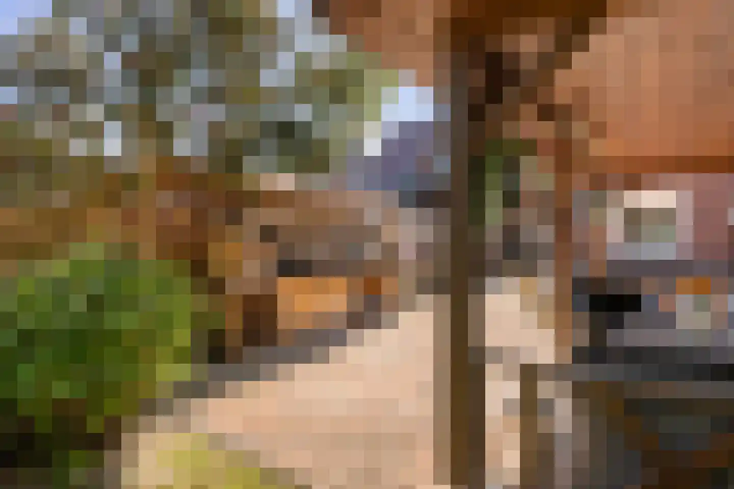 Viaductstraat 23 Ter Apel thumbnail 42