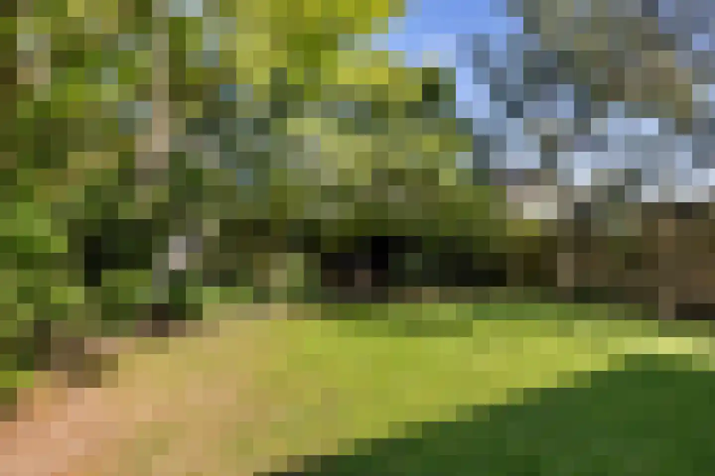 Viaductstraat 23 Ter Apel thumbnail 43