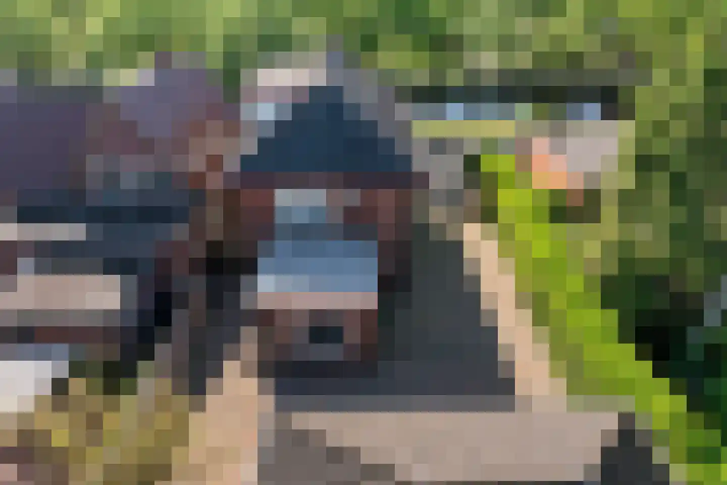 Viaductstraat 23 Ter Apel thumbnail 47