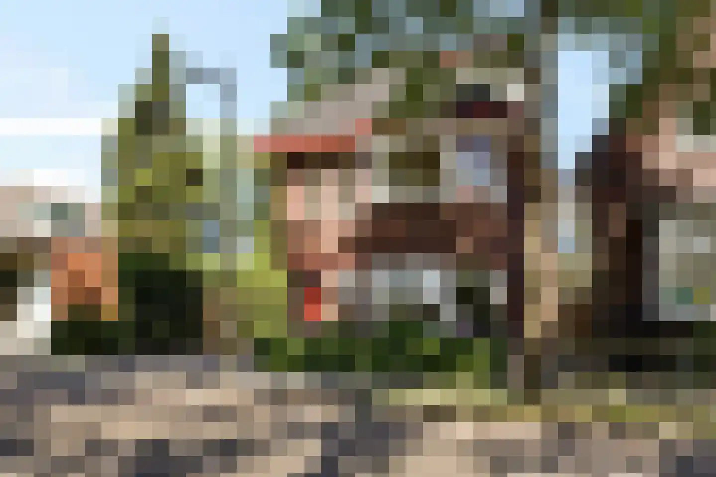 Viaductstraat 23 Ter Apel thumbnail 5