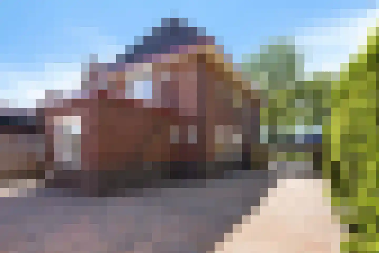Viaductstraat 23 Ter Apel thumbnail 50