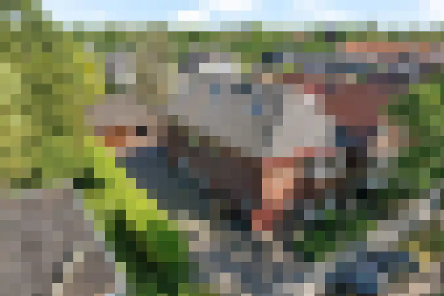 Viaductstraat 23 Ter Apel thumbnail 53