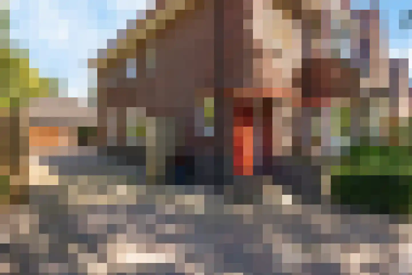 Viaductstraat 23 Ter Apel thumbnail 6